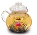 Primula Glass Stovetop Tea Pot with Infuser
