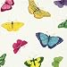 Caspari Set of 2 Papillon Set of 20 Paper Cocktail Napkin, Pearl
