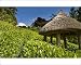 Photographic Prints of The maze at Glendurgan gardens near Falmouth in Cornwall, England from ClownFish Photo Photographic Prints of The maze at Glendurgan gardens near Falmouth in Cornwall, England from ClownFish Photo
