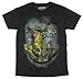 Harry Potter Deathly Hollows Distressed Hogwarts Crest Adult T-shirt