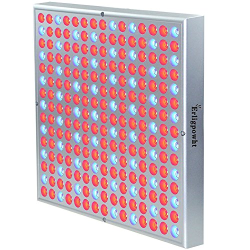 Erligpowht 45w led red blue hanging light for indoor plant