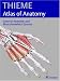 General Anatomy and the Musculoskeletal System (THIEME Atlas of Anatomy)