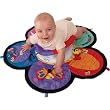 Spin & Explore Gym
