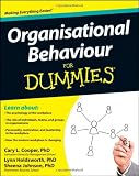Cover for 9781119977919