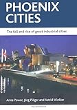 Phoenix cities : the fall and rise of great industrial cities