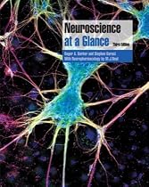 Neuroscience at a Glance (At a Glance)