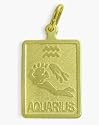14 Karat Yellow Gold Aquarius Zodiac Pendant