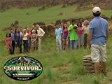 Want To See The Elephant Dung?