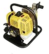 McCulloch FPP10B 1-Inch 1 HP 26cc 2-Cycle Gas-Powered Water Pump