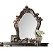 Acme Furniture 21104 Versailles Mirror, Cherry Oak