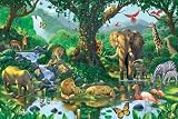 Posters: Animals Poster - Harmony, Jungle (36 X 24 Inches)