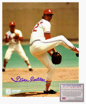 Steve Carlton St. Louis Cardinals MLB Autographed Pitching 8 x 10 Photograph (Unframed)