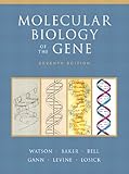 Molecular biology of the gene