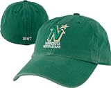 Minnesota North Stars Vintage Logo '47 Brand Franchise Fitted Hat