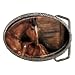 Limited Edition Violano Belt Buckle Mare & Foal