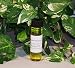 Our Fast Money Oil was designed to improve you cash flow fast. It is a very potent and powerful oil to attract money fast. :It contains 100% essential oils diluted in 100% Organic pure Jojoba oil. It is safe to use on the skin.:The Fast money oil contains: Basil (well known oil to attract money), Ginger (used in all blends to increase cash flow), Patchouli (also to attract money).:Use it in spells, in your cash register, even a little on the money you'll spend (it will come right back to you). Wear it, rub on your hands or anoint green candles to bring money to you. You can also use drops on your bath water.:All our oils are blended and sealed at the time of purchase to ensure freshness.