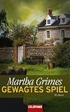 Gewagtes Spiel -: Roman