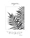 Aspire by Debra Van Swearingen. CANVAS with 1 1/2 inch bars. 5.00 inches width by 6.00 inches height. Highest Quality Art Poster Print