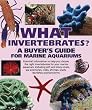 Barrons Books What Invertebrates