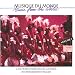 Les percussions de Guinée, vol. 2 (Percussions of Guinea) picture