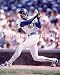 Andre Dawson Chicago Cubs 8x10 Photo