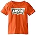 Levi's Baby Boys' Batwing Tee