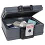 First Alert 2011F Fire Chest, 0.17 Cubic Foot, Gray