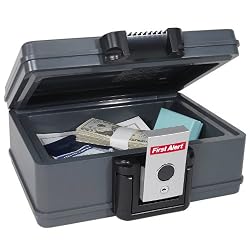 First Alert 2011F Fire Chest, 0.17 Cubic Foot, Gray