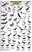 Mac's Field Guide to California Coastal Birds