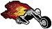 Flaming Skeleton Chopper Patch Embroidered Skull Motorcycle Flames Biker Emblem