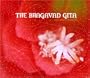 The Bhagavad Gita