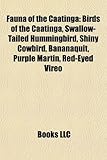 Fauna of the Caatinga: Birds of the Caatinga, Swallow-Tailed Hummingbird, Shiny Cowbird, Bananaquit, Purple Martin, Red-Eyed Vireo-