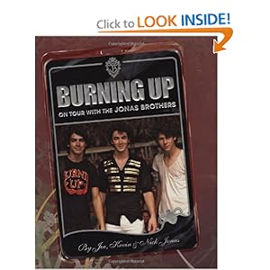 jonas brothers burning up