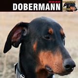 DOBERM");