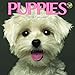 2016 Puppies Mini Calendar