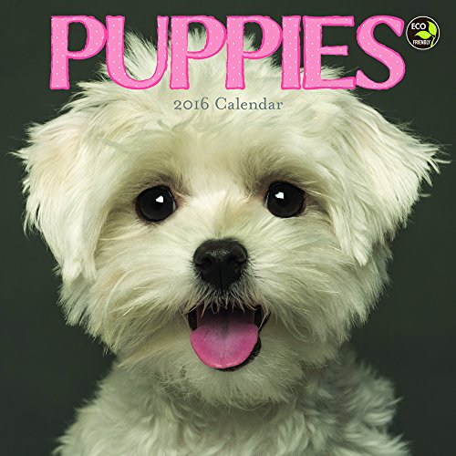 2016 Puppies Mini Calendar