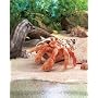 Plush Hermit Crab Puppet 13"