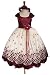 NEW Burgundy Flower Girl Pageant Easter Dress Sz 2...