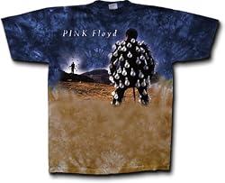 Pink Floyd "Delicate Sound of Thunder " Tie-Dye T-Shirt
