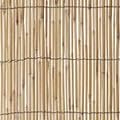 GARDMAN Sichtschutz Schilf 09481 (4x1 m)