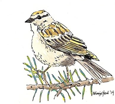 "Songbird" Watercolor Print