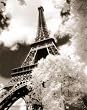 (24x36) Eiffel Tower (Parc du Champ de Mars) Art Poster Print