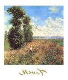 Claude Monet - Fields With Poppies Poster Kunstdruck (50 x 40cm)