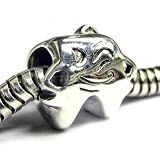 Queenberry (Free S/H) Sterling Silver Dentist Winking Smily Strong Tooth W/ Brush Bead For Pandora Troll Chamilia Biagi European Charm Bracelets
