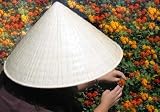 Straw Chinese Hat, Pack of 2 hats