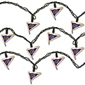 Florida Gators Football Party Lights