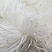 Fake Faux Fur Curly Alpaca 58 Inch Wide Fabric by The Yard (F.E. (White)