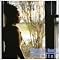 Music To Live And Love Your Life To