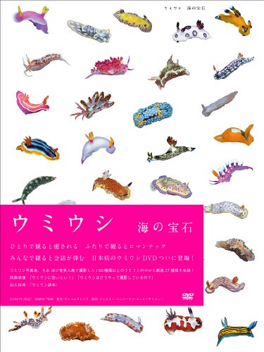 ���ߥ��� �������� [DVD]