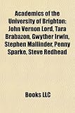 Academics of the University of Brighton: John Vernon Lord, Tara Brabazon, Gwyther Irwin, Stephen Mallinder, Penny Sparke, Steve Redhead-
